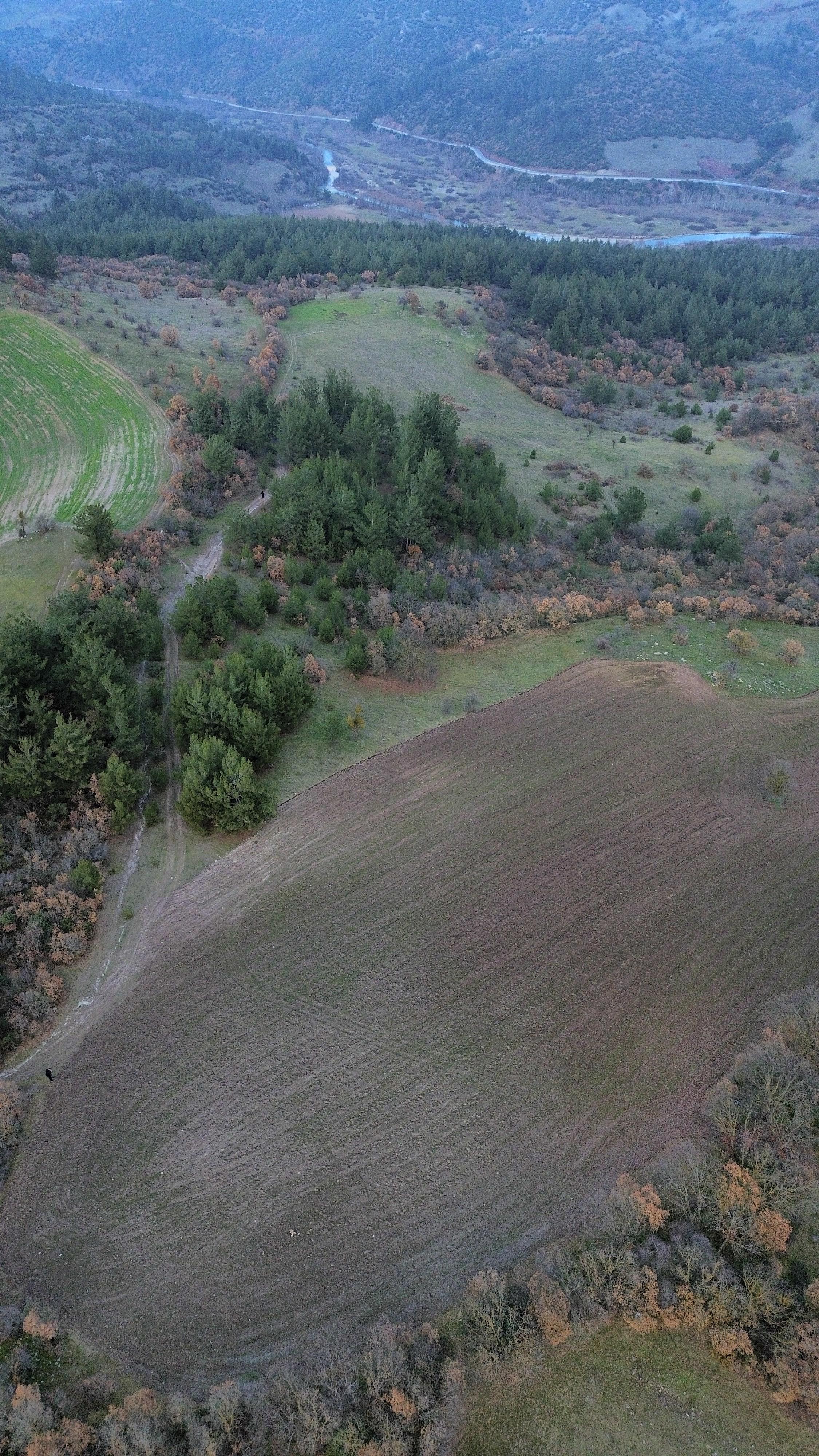 BALIKESİR SINDIRGI OSMANLAR  KÖYÜNDE  9.566   M²  TARLA  SATILIKTIR